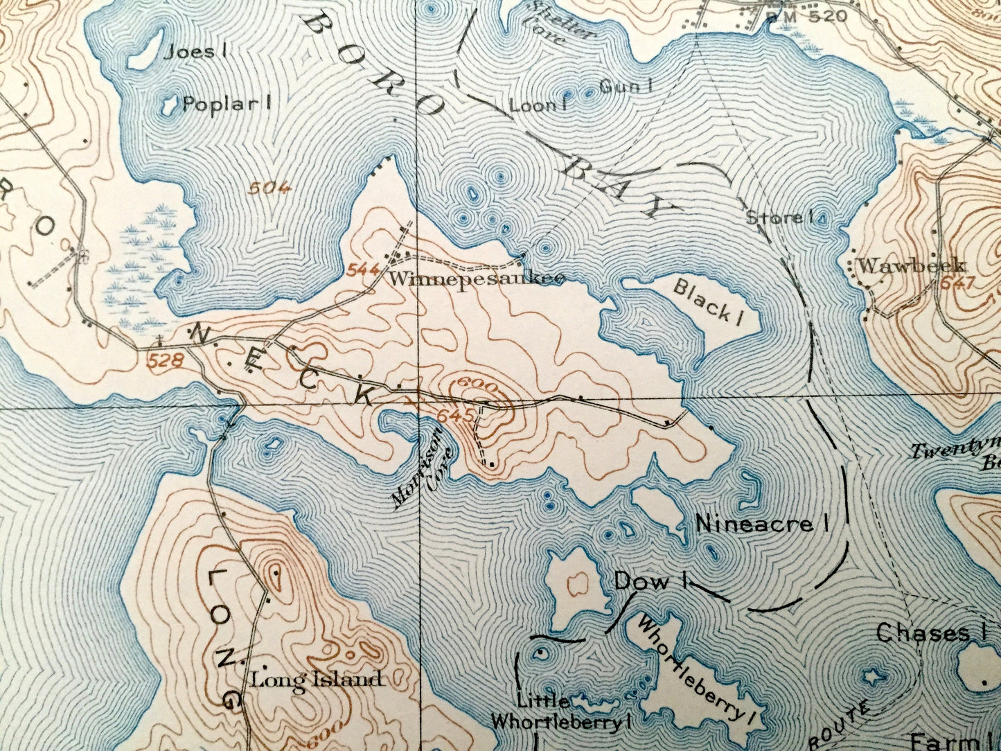 Antique Lake Winnipesaukee, New Hampshire 1909 US Geological Survey Topographic Map – Laconia, Gilford, Alton, Meredith Moultonboro Weirs NH