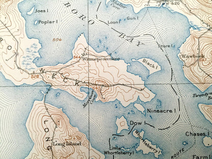 Antique Lake Winnipesaukee, New Hampshire 1909 US Geological Survey Topographic Map – Laconia, Gilford, Alton, Meredith Moultonboro Weirs NH