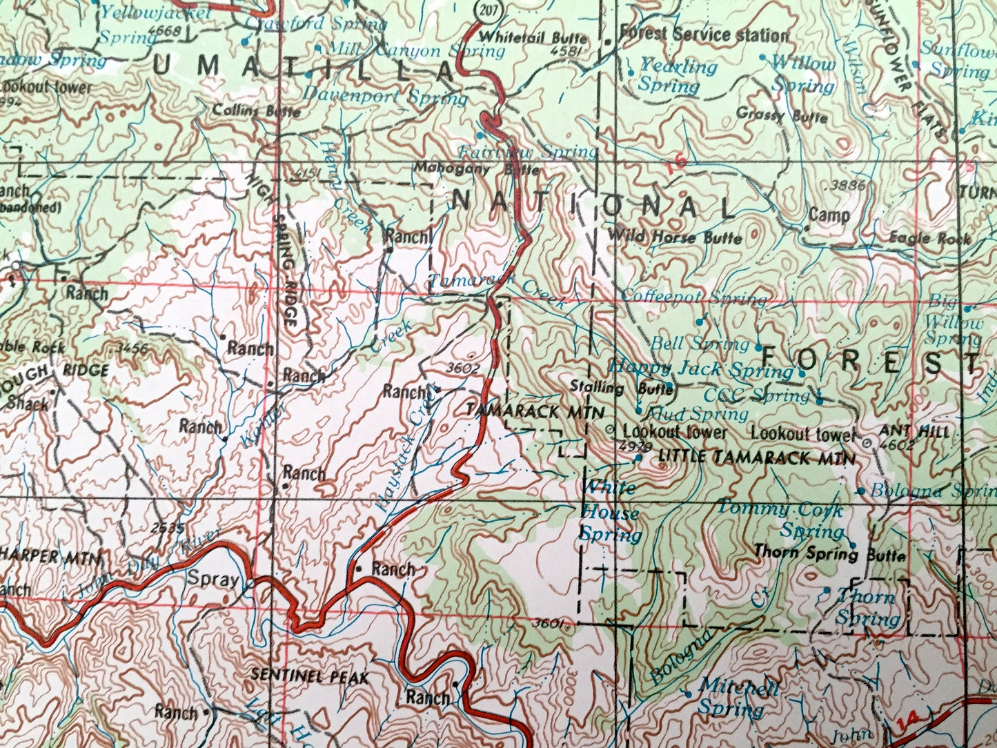 Antique Canyon City, Oregon 1955 US Geological Survey Topographic Map – John Day, Hamilton, Hereford Malheur National Forest Grant County OR