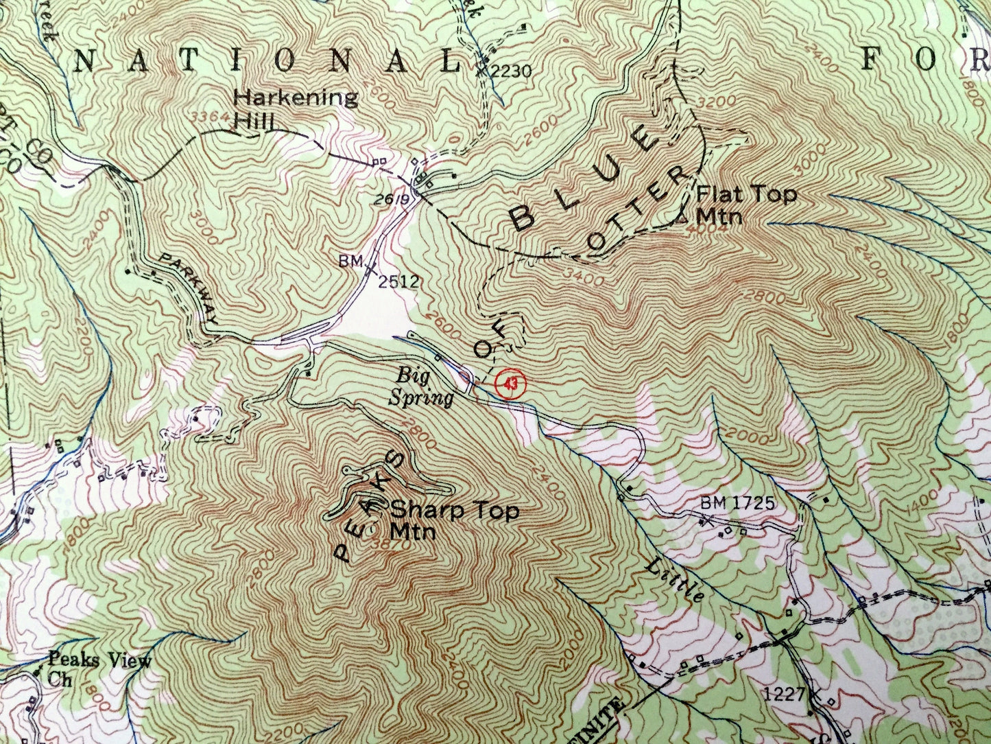 Antique Peaks of Otter, Virginia 1950 US Geological Survey Topographic Map – Bedford, Chamblissburg, Montvale, Lithia, Thaxton, Irving, VA