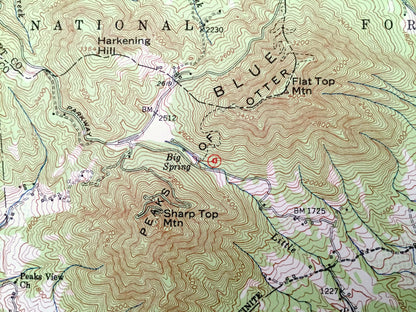 Antique Peaks of Otter, Virginia 1950 US Geological Survey Topographic Map – Bedford, Chamblissburg, Montvale, Lithia, Thaxton, Irving, VA
