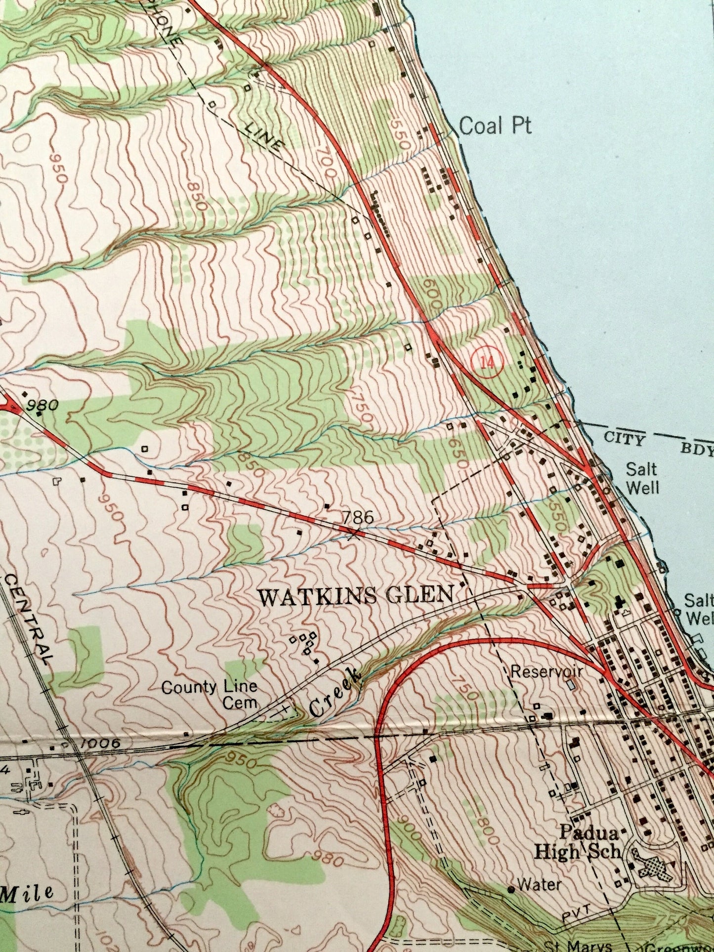 Antique Reading Center, New York 1950 US Geological Survey Topographic Map – Schuyler County, Dix, Orange, Tyrone, Barrington Seneca Lake NY
