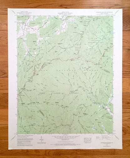Antique Dunsmore Mountain, North Carolina 1967 US Geological Survey Topographic Map – Buncombe, Henderson County, Pisgah Beaverdam Forest NC
