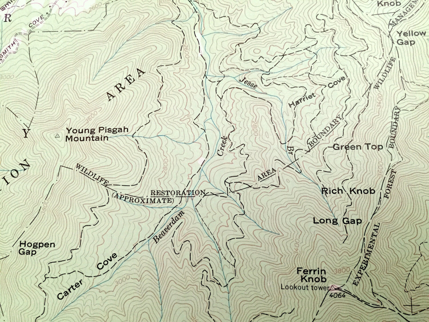 Antique Dunsmore Mountain, North Carolina 1967 US Geological Survey Topographic Map – Buncombe, Henderson County, Pisgah Beaverdam Forest NC