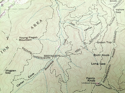 Antique Dunsmore Mountain, North Carolina 1967 US Geological Survey Topographic Map – Buncombe, Henderson County, Pisgah Beaverdam Forest NC
