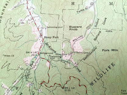 Antique Dunsmore Mountain, North Carolina 1967 US Geological Survey Topographic Map – Buncombe, Henderson County, Pisgah Beaverdam Forest NC