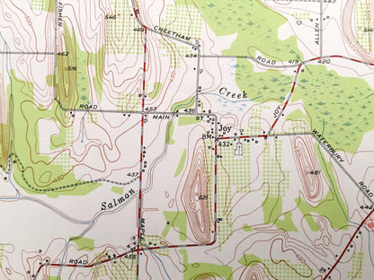 Antique Sodus, New York 1952 US Geological Survey Topographic Map – Wayne County, Arcadia, Lyons, Wallington, Minsteed, Thorntons Corner, NY