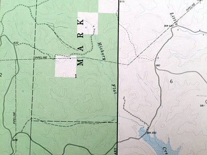 Antique Shook, Missouri 1966 US Geological Survey Topographic Map – Wayne County, Mark Twain National Forest, Lake Wappapello, MO