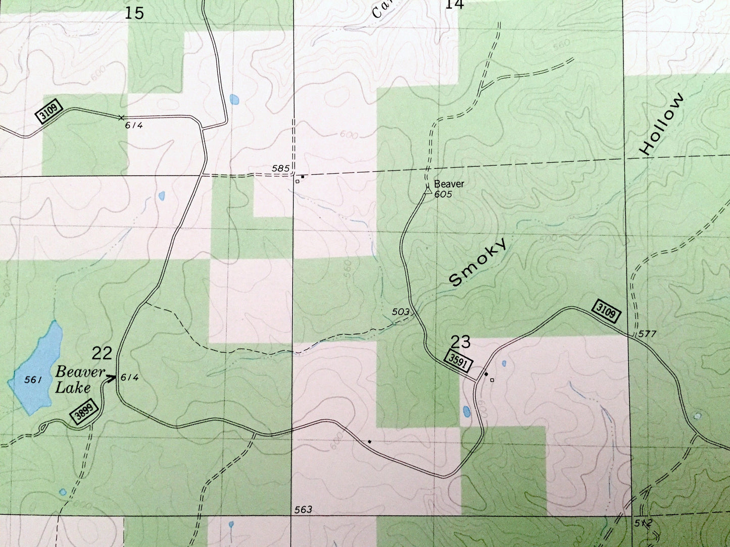 Antique Strington, Missouri 1980 US Geological Survey Topographic Map – Butler County, Pine Grove Camp, Mark Twain National Forest, MO