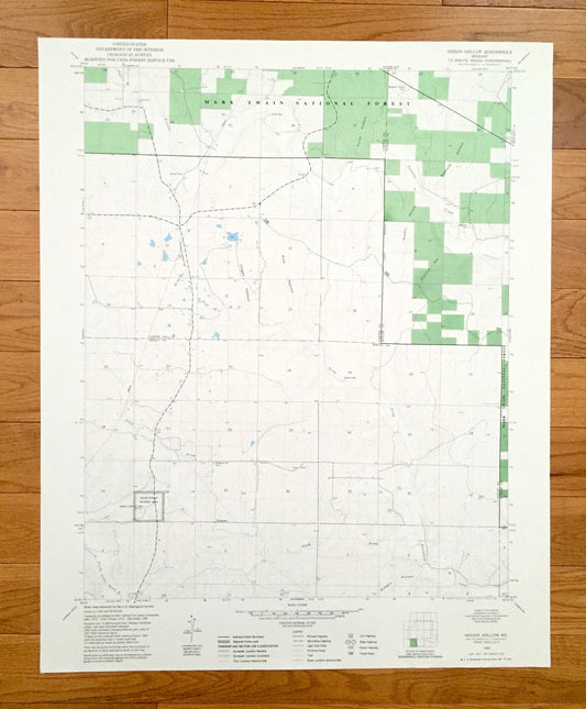 Antique Hogan Hollow, Missouri 1980 US Geological Survey Topographic Map – Ripley, Butler, Carter County, Mark Twain National Forest, MO