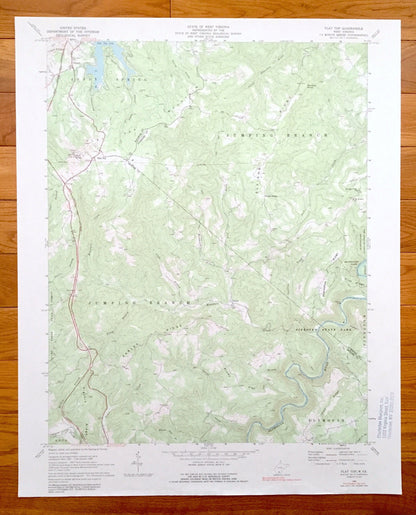 Antique Flat Top, West Virginia 1968 US Geological Survey Topographic Map – Raliegh, Summers, Mercer County, Shady Spring, Jumping Branch WV