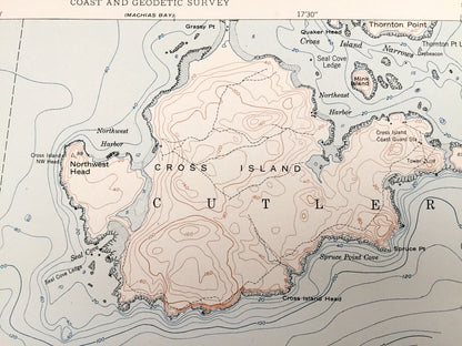 Antique Cross Island, Maine 1950 US Geological Survey Topographic Map – Washington County, Machiasport, Cutler, Gulf of Maine, ME