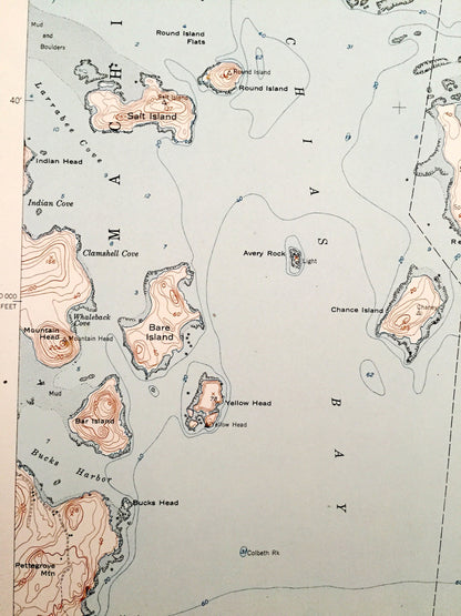 Antique Machias Bay, Maine 1951 US Geological Survey Topographic Map – Washington County, Machiasport, Whiting, Cutler, ME