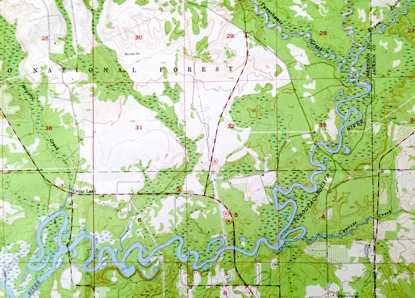 Antique Biloxi, Mississippi 1954 US Geological Survey Topographic Map –Harrison, Jackson County, De Soto National Forest, D'Iberville, MS