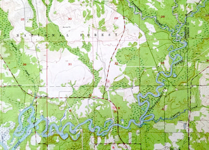 Antique Biloxi, Mississippi 1954 US Geological Survey Topographic Map –Harrison, Jackson County, De Soto National Forest, D'Iberville, MS