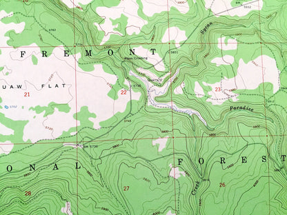 Antique Shake Butte, Oregon 1966 US Geological Survey Topographic Map – Lake, Klamath County, Fremont National Forest, Squaw Flat, OR