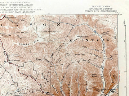 Antique Trout Run, Pennsylvania 1923 US Geological Survey Topographic Map – Lycoming County, Williamsport, Lewis, Mifflin, Loyalsock, PA