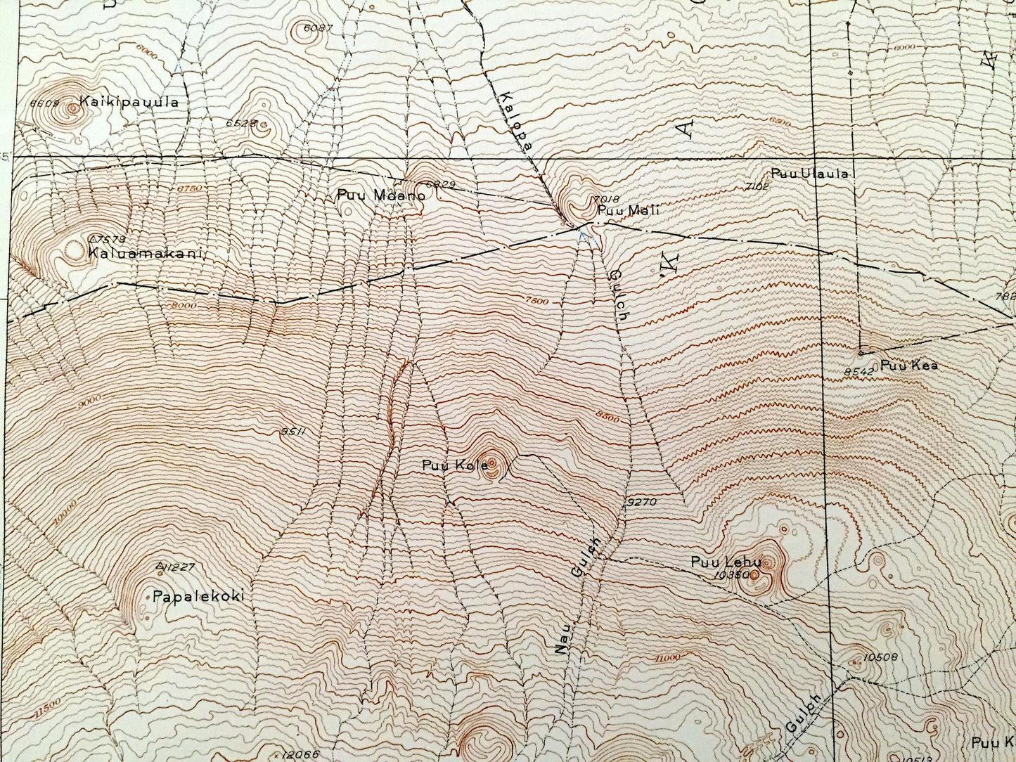 Antique Mauna Kea, Hawaii 1930 US Geological Survey Topographic Map – Hamakua, North Hilo District, Waikamakapo, Umikoa, Dairy, Puu, HI
