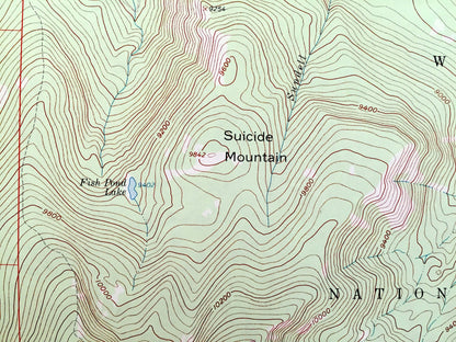 Antique Suicide Mountain, Colorado 1962 US Geological Survey Topographic Map – White River National Forest, Eagle County, Rockies, CO