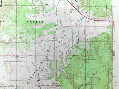 Antique Edith, Colorado 1984 US Geological Survey Topographic Map – Archuleta County, San Juan National Forest, CO, Rio Arriba County, NM