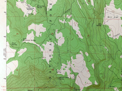 Antique Fitzwater Point, Oregon 1964 US Geological Survey Topographic Map – Lake County, Fremont National Forest, OR