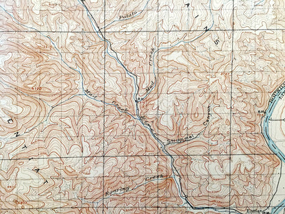 Antique Lake Chelan, Washington 1901 US Geological Survey Topographic Map – Douglas County, Okanogan-Wenatchee National Forest Waterville WA