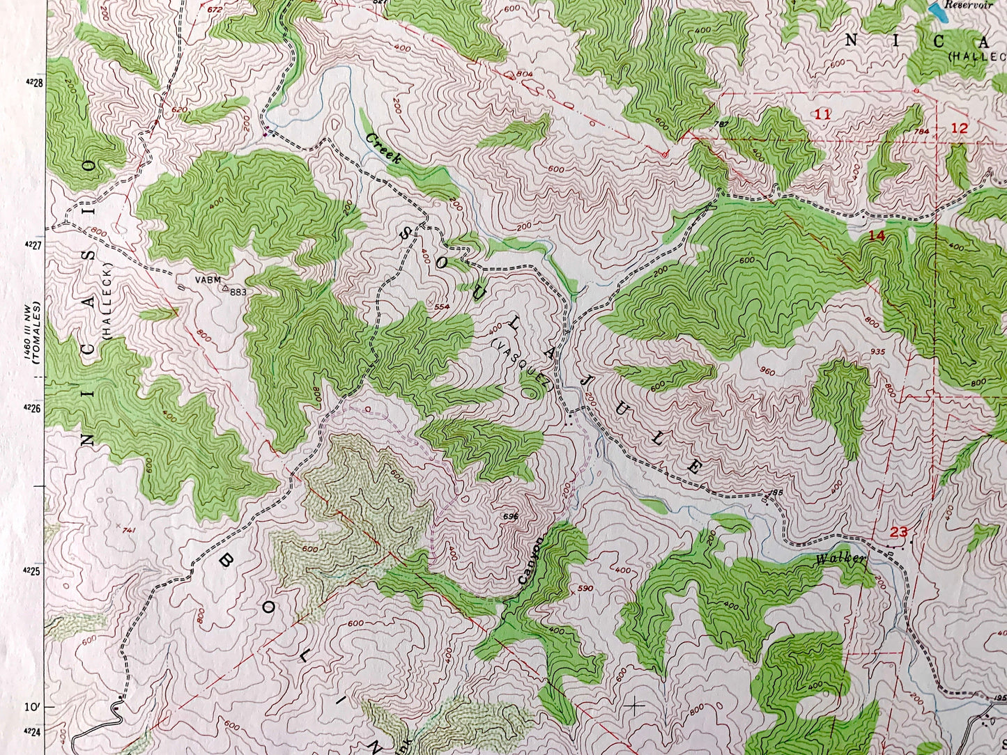 Antique Point Reyes NE, California 1954 US Geological Survey Topographic Map – Sonoma, Marin County, Nicasio, Laguna De San Antonio, CA
