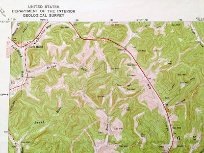 Antique Newton, West Virginia 1966 US Geological Survey Topographic Map – Roane, Kanawha, Clay County, Henry, Ovapa, Pigeon, Wallback, WV