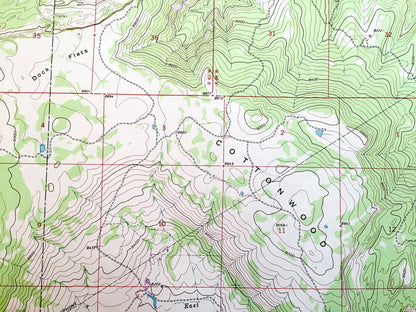 Antique Cottonwood Pass, Colorado 1961 US Geological Survey Topographic Map – White River National Forest, Eagle County, Garfield County, CO