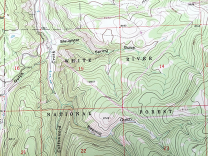 Antique Cottonwood Pass, Colorado 1961 US Geological Survey Topographic Map – White River National Forest, Eagle County, Garfield County, CO