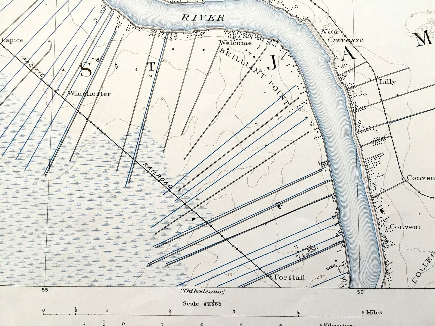 Antique Donaldsonville, Louisiana 1890 US Geological Survey Topographic Map – Ascension, St James Parish, Sorrento, Mississippi River, LA