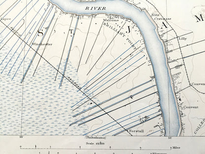 Antique Donaldsonville, Louisiana 1890 US Geological Survey Topographic Map – Ascension, St James Parish, Sorrento, Mississippi River, LA