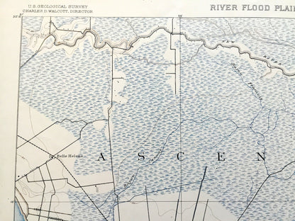 Antique Donaldsonville, Louisiana 1890 US Geological Survey Topographic Map – Ascension, St James Parish, Sorrento, Mississippi River, LA