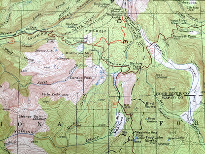 Antique Mount Hood, Oregon 1924 US Geological Survey Topographic Map – Multnomah, Clackamas, Wasco, Zigzag River, Cascade Range, OR, Mt