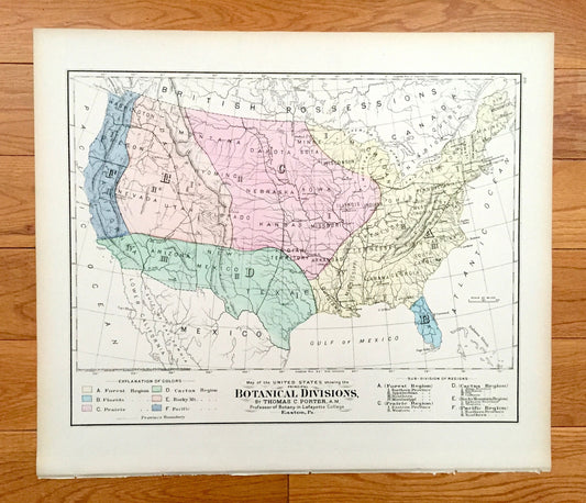 Antique 1874 Botanical Divisions Map of the USA from O.W. Gray's Atlas of United States of America; Stedman, Brown & Lyon – Thomas C Porter