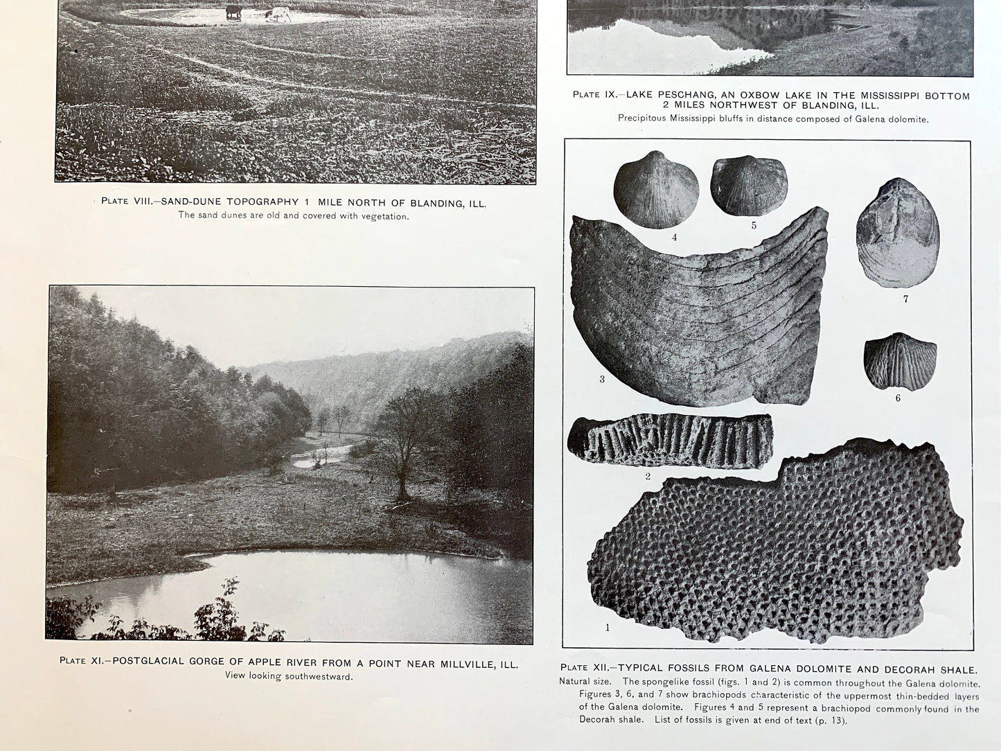 Antique 1915 Elizabeth & Galena, Illinois Rock Formation Photographs – US Geological Survey Topographic Map – Fossils, Joe Daviess County IL