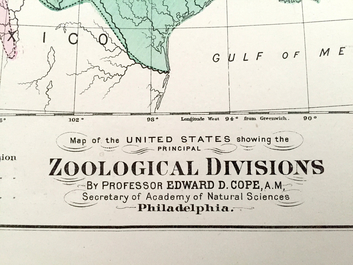 Antique 1874 Zoological Divisions Map of the USA from O.W. Gray's Atlas of United States of America; Stedman, Brown & Lyon – Edward D Cope