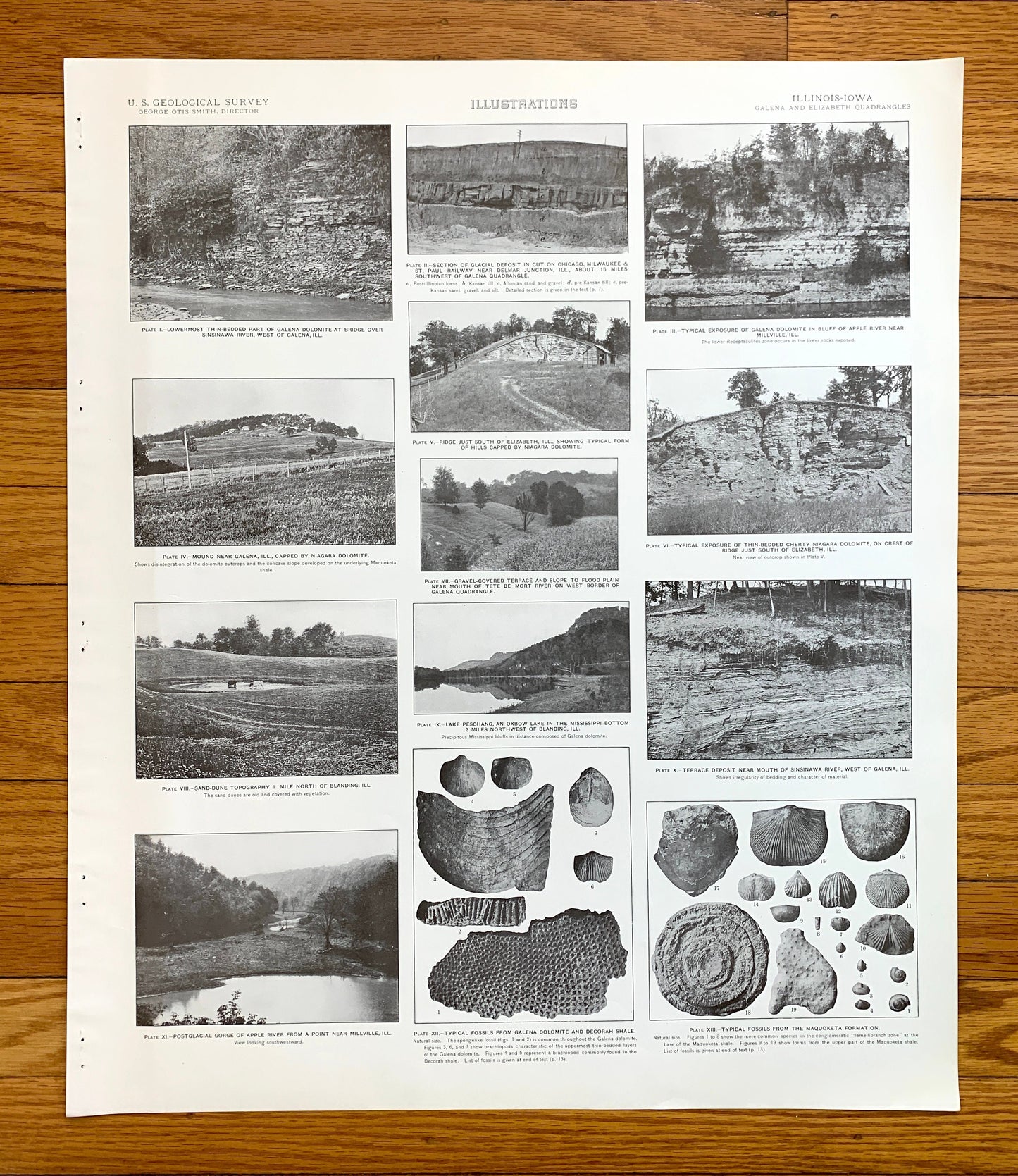 Antique 1915 Elizabeth & Galena, Illinois Rock Formation Photographs – US Geological Survey Topographic Map – Fossils, Joe Daviess County IL