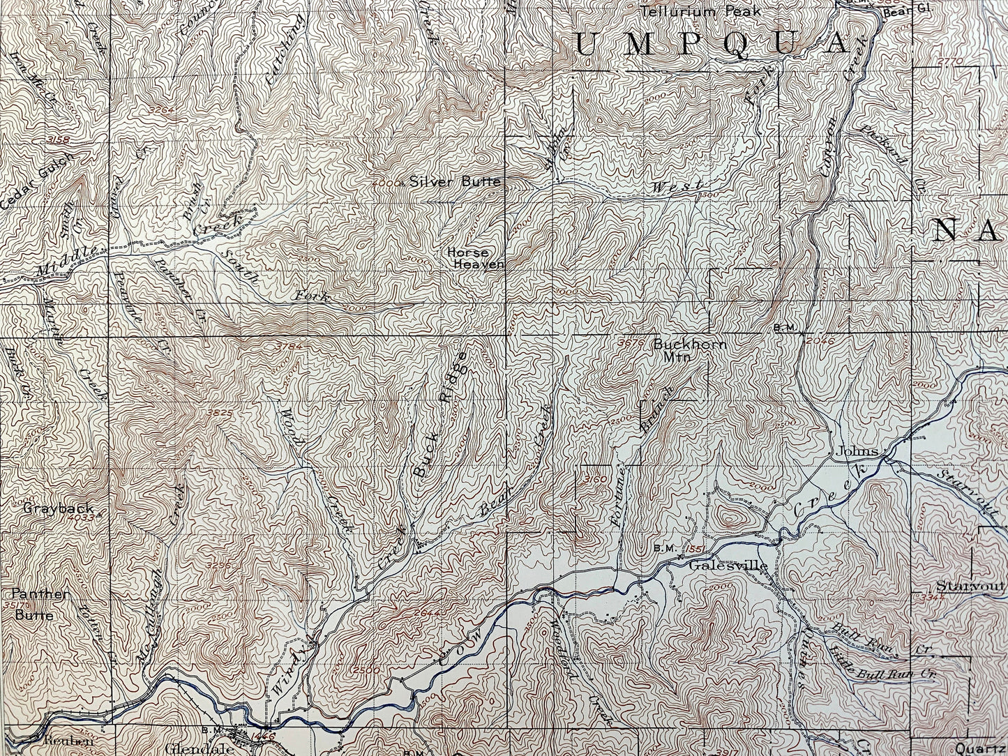 Antique Riddle, Oregon 1904 US Geological Survey Topographic Map – Douglas County, Winona, Merlin, Greenback, Perdue, Hugo, Forest Queen OR