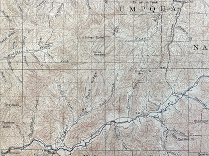 Antique Riddle, Oregon 1904 US Geological Survey Topographic Map – Douglas County, Winona, Merlin, Greenback, Perdue, Hugo, Forest Queen OR