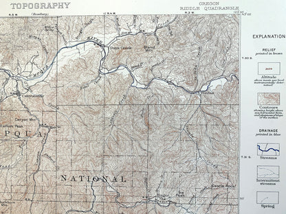 Antique Riddle, Oregon 1904 US Geological Survey Topographic Map – Douglas County, Winona, Merlin, Greenback, Perdue, Hugo, Forest Queen OR