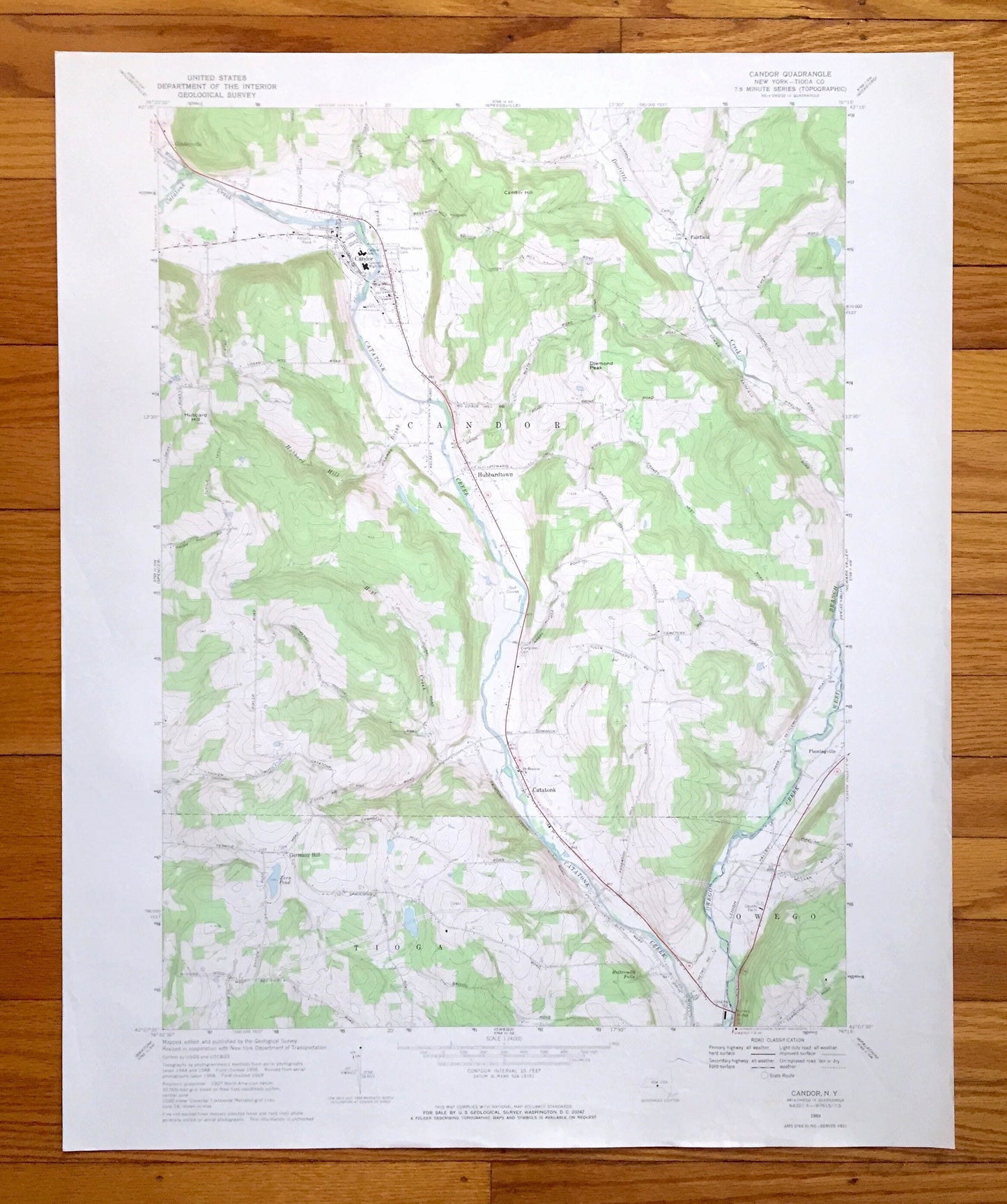 Antique Candor, New York 1969 US Geological Survey Topographic Map — Tioga County, Owego, Gridleyville, Fairfield, Hubbardtown, Catatonk, NY