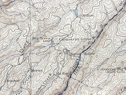 Antique Big Trees, California 1898 US Geological Survey Topographic Map – Calaveras, Tuolumne County, Stanislaus National Forest, Lake, CA