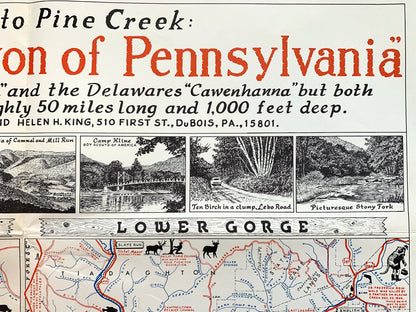 Antique 1950's Pennsylvania Map "Grand Canyon of Pennsylvania" by Samuel A. King – Tioga, Lycoming, Clinton County, Sproul State Forest, PA